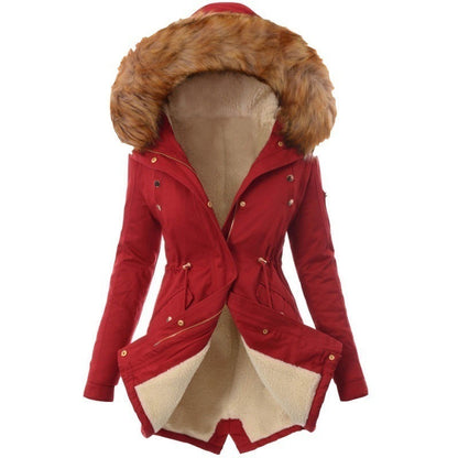Pure Color Hooded Slim Warm Zipper Jacket Women Padded Coat